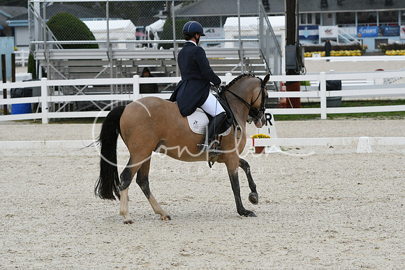 HSM_0255