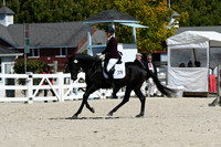 HSM_4812
