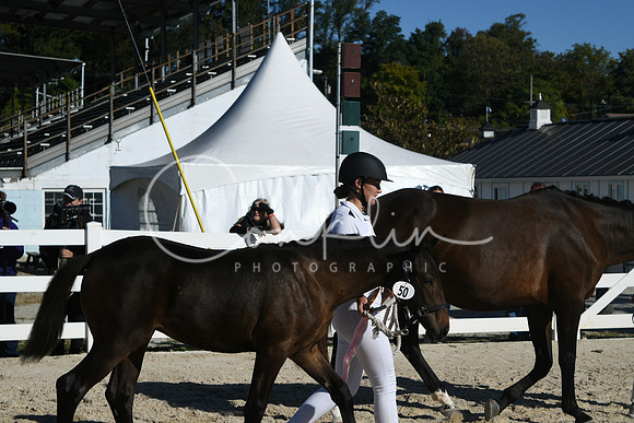 HSM_5974