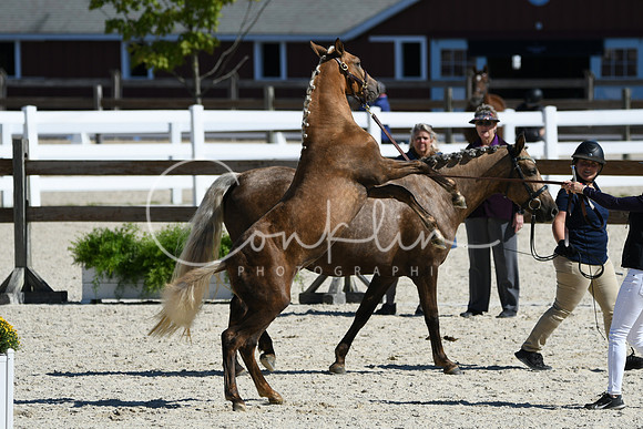 HSM_4676