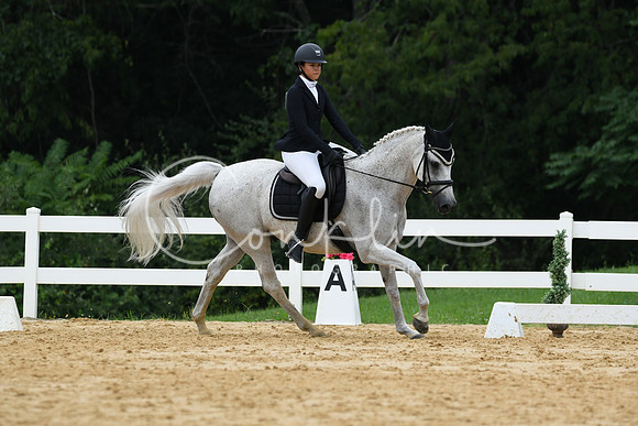 HSM_0353
