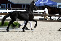 HSM_4732