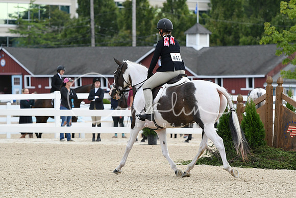 HSM_5203