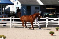RJC30993