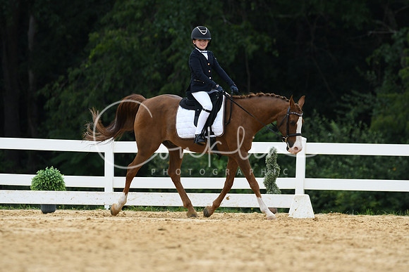 HSM_0225