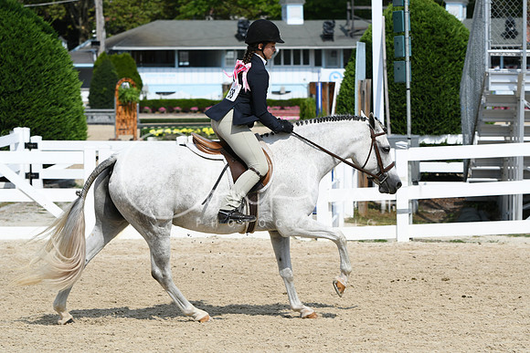 HSM_6435