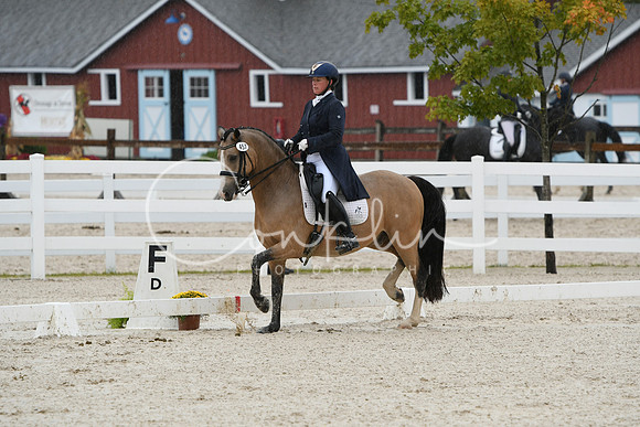 HSM_0243