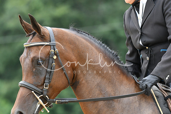 HSM_0058