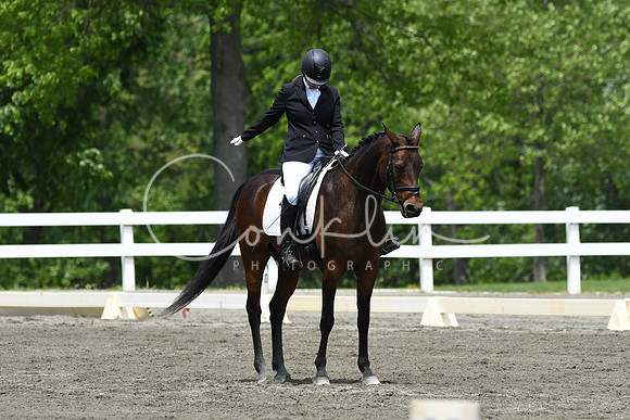 HSM_0335