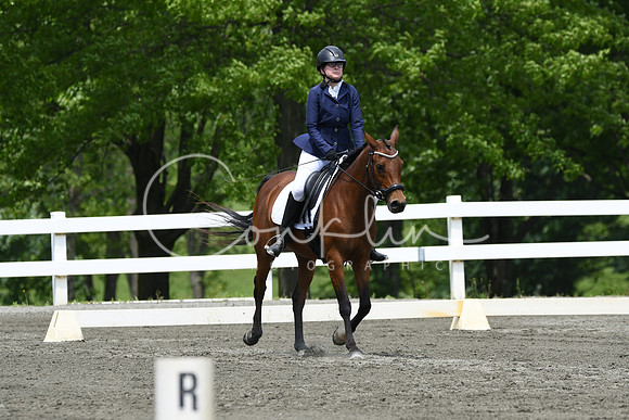 HSM_0390