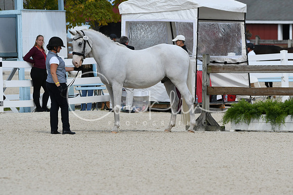 HSM_4852