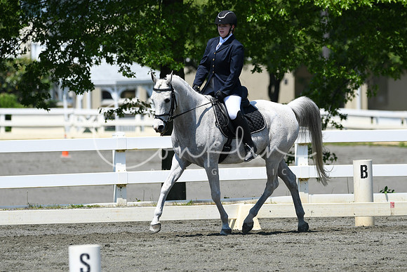 HSM_1517