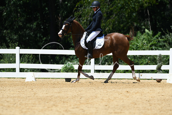 HSM_1431