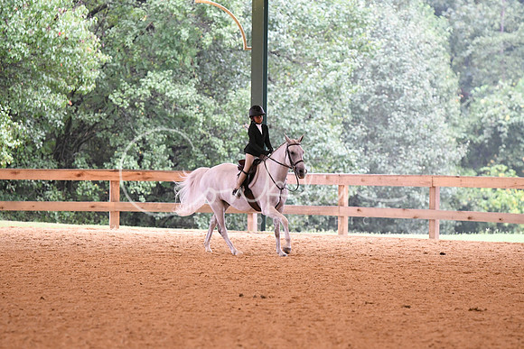 HSM_5862