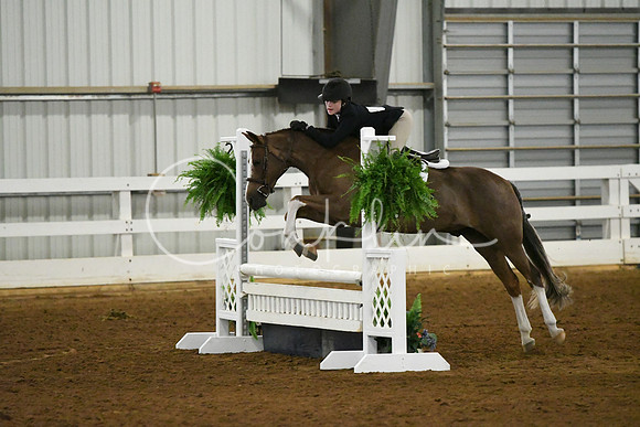 HSM_6232