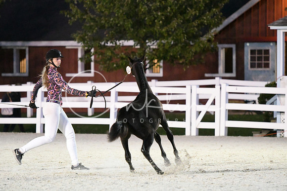 HSM_5817
