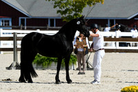 HSM_4749