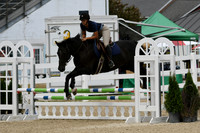 HSM_2702