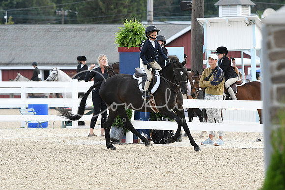 HSM_5418
