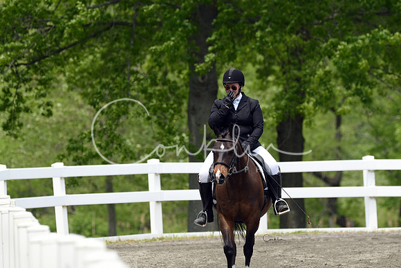 HSM_0386-1
