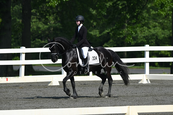 HSM_1061