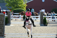 HSM_1262