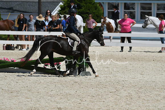HSM_3021