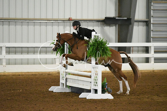HSM_5852