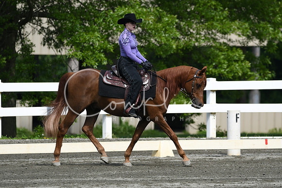 HSM_2627