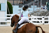 HSM_2643