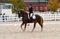 HSM_0519