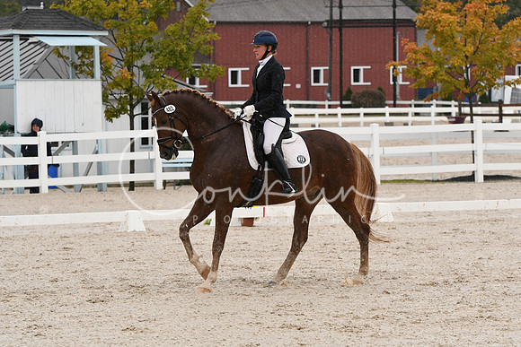 HSM_0519