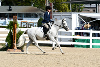 HSM_6007