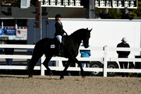 HSM_4295