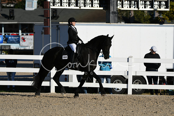 HSM_4295
