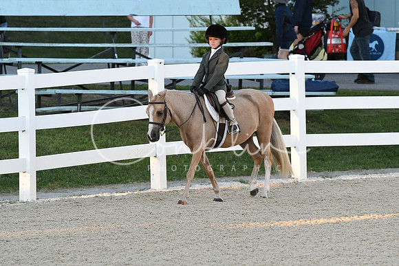 HSM_1549