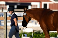 HSM_5637