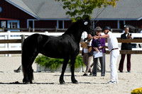 HSM_4743