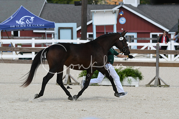 HSM_4989