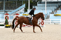 HSM_2246