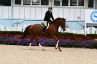 HSM_2703