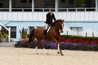 HSM_2705