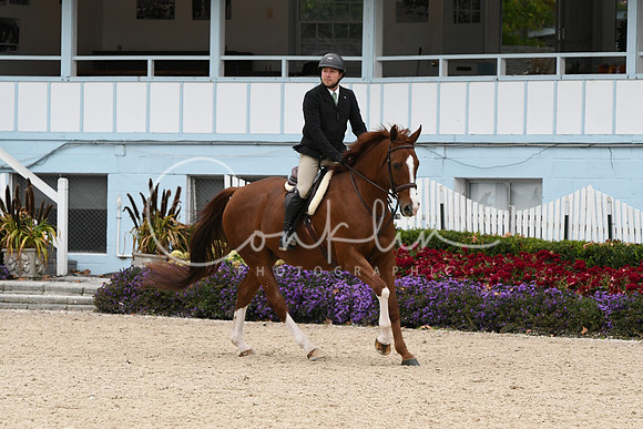 HSM_2705