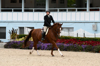 HSM_2706