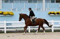 HSM_2713
