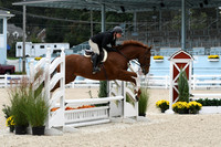 HSM_2716