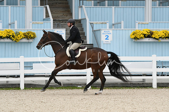 HSM_2495