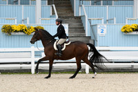 HSM_2496