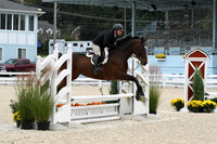 HSM_2498