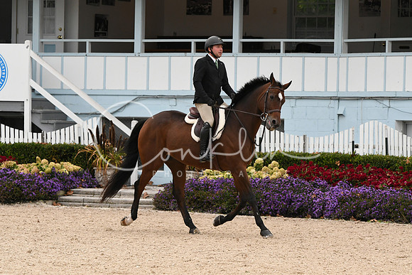 HSM_2503